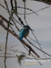 Filename=021_fotowilga~32.JPG
Filesize=54KB
Dimensions=360x480
Date added=Jan 07, 2017 021_fotowilga~32.JPG