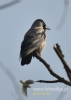 Filename=021_fotowilga~33.JPG
Filesize=59KB
Dimensions=343x480
Date added=Jan 08, 2017 021_fotowilga~33.JPG