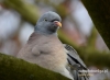 Filename=021_fotowilga~35.JPG
Filesize=70KB
Dimensions=640x471
Date added=Mar 20, 2017 021_fotowilga~35.JPG