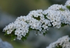 Filename=021_fotowilga~60.JPG
Filesize=221KB
Dimensions=700x479
Date added=Feb 03, 2019 021_fotowilga~60.JPG