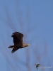 Filename=021_fotowilga~61.JPG
Filesize=221KB
Dimensions=525x700
Date added=Mar 23, 2019 021_fotowilga~61.JPG