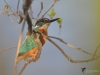 Filename=021_fotowilga~69.JPG
Filesize=239KB
Dimensions=700x525
Date added=Oct 29, 2019 021_fotowilga~69.JPG