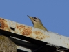 Filename=0221_fotowilga.JPG
Filesize=209KB
Dimensions=700x525
Date added=Jul 01, 2019 0221_fotowilga.JPG