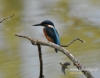 Filename=0222_fotowilga~14.JPG
Filesize=81KB
Dimensions=611x480
Date added=Nov 10, 2015 0222_fotowilga~14.JPG