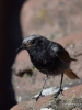 Filename=0225_fotowilga~51.JPG
Filesize=233KB
Dimensions=525x700
Date added=Jul 29, 2018 0225_fotowilga~51.JPG