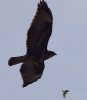 Filename=0226_fotowilga~0.JPG
Filesize=228KB
Dimensions=614x700
Date added=Apr 17, 2021 0226_fotowilga~0.JPG