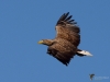 Filename=0228_fotowilga~51.JPG
Filesize=248KB
Dimensions=700x525
Date added=Dec 18, 2019 0228_fotowilga~51.JPG