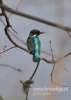 Filename=022_fotowilga~15.JPG
Filesize=64KB
Dimensions=343x480
Date added=Apr 15, 2015 022_fotowilga~15.JPG