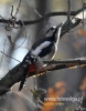 Filename=022_fotowilga~21.JPG
Filesize=82KB
Dimensions=377x480
Date added=Nov 03, 2015 022_fotowilga~21.JPG