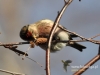 Filename=022_fotowilga~23.JPG
Filesize=87KB
Dimensions=640x480
Date added=Feb 19, 2016 022_fotowilga~23.JPG