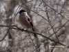 Filename=022_fotowilga~34.JPG
Filesize=108KB
Dimensions=640x480
Date added=Mar 03, 2017 022_fotowilga~34.JPG