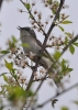 Filename=022_fotowilga~49.JPG
Filesize=255KB
Dimensions=499x700
Date added=Jan 02, 2018 022_fotowilga~49.JPG