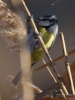 Filename=022_fotowilga~50.JPG
Filesize=228KB
Dimensions=525x700
Date added=Feb 09, 2018 022_fotowilga~50.JPG