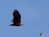 Filename=022_fotowilga~69.JPG
Filesize=225KB
Dimensions=700x525
Date added=Oct 08, 2019 022_fotowilga~69.JPG