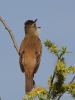 Filename=0234_fotowilga~43.JPG
Filesize=238KB
Dimensions=525x700
Date added=May 02, 2018 0234_fotowilga~43.JPG
