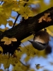 0235_fotowilga~37.JPG