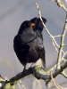 Filename=0236_fotowilga~34.JPG
Filesize=250KB
Dimensions=525x700
Date added=Nov 01, 2017 0236_fotowilga~34.JPG