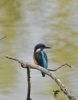 Filename=0237_fotowilga.JPG
Filesize=210KB
Dimensions=550x700
Date added=Jan 29, 2019 0237_fotowilga.JPG