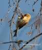 Filename=023_fotowilga~23.JPG
Filesize=79KB
Dimensions=400x480
Date added=Feb 09, 2016 023_fotowilga~23.JPG