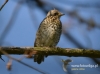 Filename=023_fotowilga~28.JPG
Filesize=68KB
Dimensions=640x475
Date added=May 11, 2016 023_fotowilga~28.JPG
