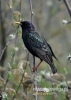 Filename=023_fotowilga~31.JPG
Filesize=75KB
Dimensions=343x480
Date added=Jul 31, 2016 023_fotowilga~31.JPG