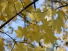 Filename=023_fotowilga~50.JPG
Filesize=283KB
Dimensions=700x525
Date added=Dec 28, 2017 023_fotowilga~50.JPG