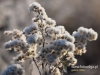 Filename=023_fotowilga~53.JPG
Filesize=86KB
Dimensions=640x480
Date added=Feb 17, 2018 023_fotowilga~53.JPG