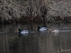 Filename=023_fotowilga~59.JPG
Filesize=336KB
Dimensions=700x525
Date added=Jan 22, 2019 023_fotowilga~59.JPG