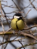 Filename=023_fotowilga~64.JPG
Filesize=253KB
Dimensions=525x700
Date added=May 11, 2019 023_fotowilga~64.JPG