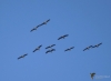 Filename=023_fotowilga~66.JPG
Filesize=204KB
Dimensions=700x516
Date added=Nov 05, 2019 023_fotowilga~66.JPG