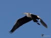 Filename=0242_fotowilga~50.JPG
Filesize=203KB
Dimensions=700x525
Date added=Sep 04, 2018 0242_fotowilga~50.JPG