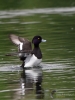 Filename=0243_fotowilga~39.JPG
Filesize=280KB
Dimensions=525x700
Date added=Sep 03, 2018 0243_fotowilga~39.JPG