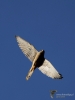 Filename=0246_fotowilga~42.JPG
Filesize=191KB
Dimensions=525x700
Date added=Dec 04, 2019 0246_fotowilga~42.JPG