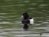 Filename=0248_fotowilga~39.JPG
Filesize=270KB
Dimensions=700x525
Date added=Sep 03, 2018 0248_fotowilga~39.JPG