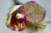 Filename=024_fotowilga.JPG
Filesize=103KB
Dimensions=720x480
Date added=Oct 20, 2012 024_fotowilga.JPG