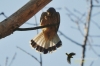 Filename=024_fotowilga~2.JPG
Filesize=78KB
Dimensions=720x480
Date added=May 08, 2013 024_fotowilga~2.JPG