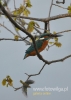 Filename=024_fotowilga~22.JPG
Filesize=69KB
Dimensions=343x480
Date added=Nov 12, 2015 024_fotowilga~22.JPG