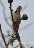 Filename=024_fotowilga~25.JPG
Filesize=63KB
Dimensions=339x480
Date added=Dec 23, 2015 024_fotowilga~25.JPG
