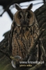 Filename=024_fotowilga~26.JPG
Filesize=75KB
Dimensions=320x480
Date added=Jan 07, 2016 024_fotowilga~26.JPG