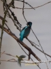 Filename=024_fotowilga~35.JPG
Filesize=53KB
Dimensions=360x480
Date added=Dec 17, 2016 024_fotowilga~35.JPG