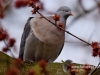 Filename=024_fotowilga~44.JPG
Filesize=81KB
Dimensions=640x480
Date added=Mar 21, 2017 024_fotowilga~44.JPG