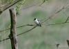 Filename=024_fotowilga~54.JPG
Filesize=226KB
Dimensions=700x500
Date added=Feb 24, 2018 024_fotowilga~54.JPG