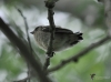 Filename=024_fotowilga~55.JPG
Filesize=248KB
Dimensions=700x519
Date added=Mar 23, 2018 024_fotowilga~55.JPG