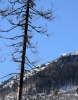 Filename=024_fotowilga~56.JPG
Filesize=334KB
Dimensions=547x700
Date added=Apr 02, 2018 024_fotowilga~56.JPG