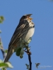 Filename=024_fotowilga~57.JPG
Filesize=214KB
Dimensions=525x700
Date added=Apr 27, 2018 024_fotowilga~57.JPG