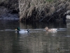 Filename=024_fotowilga~58.JPG
Filesize=317KB
Dimensions=700x525
Date added=Jan 23, 2019 024_fotowilga~58.JPG
