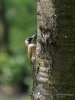 Filename=024_fotowilga~63.JPG
Filesize=274KB
Dimensions=525x700
Date added=Mar 08, 2019 024_fotowilga~63.JPG