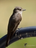 Filename=024_fotowilga~68.JPG
Filesize=203KB
Dimensions=525x700
Date added=Jul 18, 2019 024_fotowilga~68.JPG