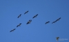 Filename=024_fotowilga~70.JPG
Filesize=161KB
Dimensions=700x433
Date added=Nov 04, 2019 024_fotowilga~70.JPG