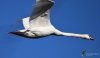 Filename=0252_fotowilga.JPG
Filesize=153KB
Dimensions=700x412
Date added=Feb 24, 2019 0252_fotowilga.JPG